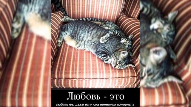 ПОЗИТИВ ЭТО КРУТО ! смотреть онлайн