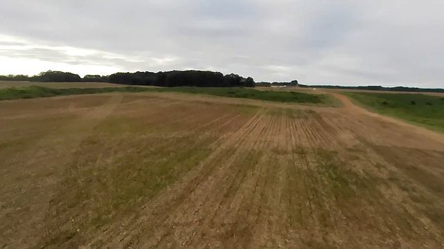 Dump Trucking  / Baby AR Wing Pro - Runcam Thumb Pro
