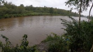 СУДАК НА ЖИВЦА. ЛОВЛЯ СУДАКА НА ПОПЛАВОК.