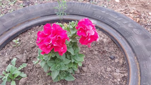 кошка на южном урале, куса, челябинская область, отдых и огород урала смотреть онлайн