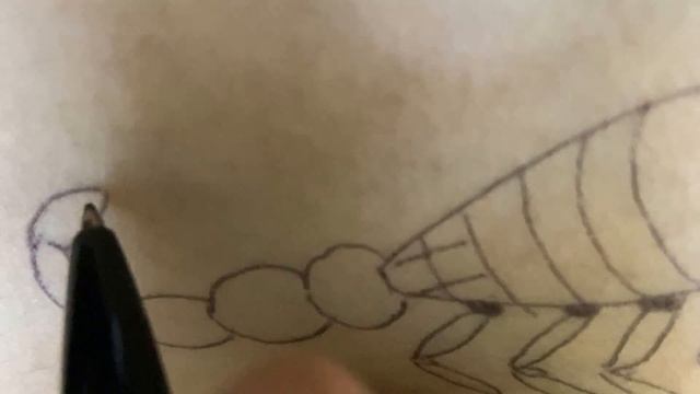 Tattos video | imitation tattos | scorpion and snake tattoo | Draw Tatto minimalis | Part 2 смотреть онлайн