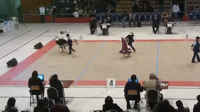 Mi orgullo san borja, preinfante, Fabian perez en semifinal смотреть онлайн