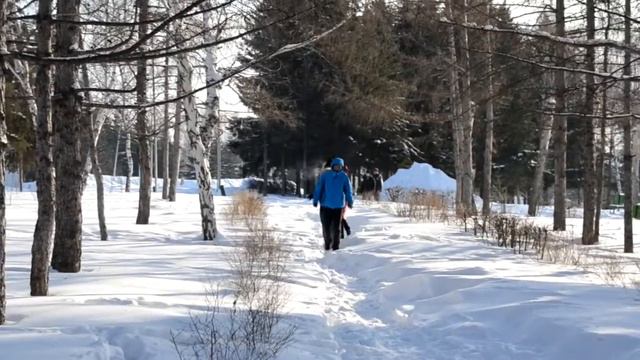 О чем сегодня говорят в Омске? смотреть онлайн