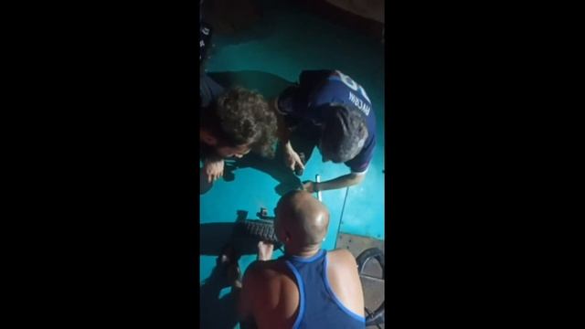 КолеСИМ по России: Курган, Ишим (CUD.NEWS) смотреть онлайн