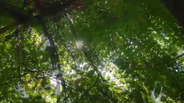 To be ( am, is, are ). МЕДИТАЦИЯ перед сном на Английском Языке. смотреть онлайн