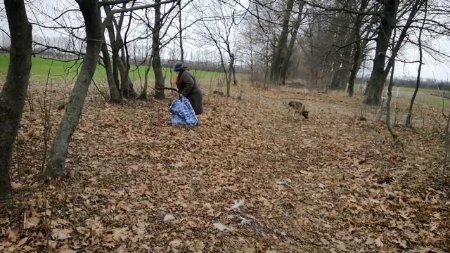 СОБРАЛА ДРОВА🌳СКОРО ВКУСНЫЙ РЕЦЕПТ🍔🥩🍖 смотреть онлайн