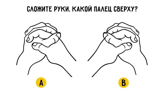 Какое полушарие у вас более развито? смотреть онлайн