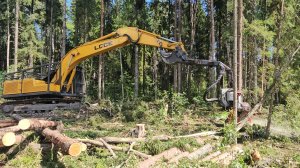 Работа гусеничного харвестера LGCE E6210FLC c агрегатом LogMax6000B