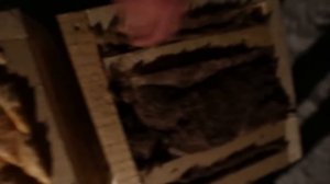 Какой утеплитель лучше держит тепло каркаса?  Тест Кнауф, Технониколь, Басвул, Роквул, Изовер 2021