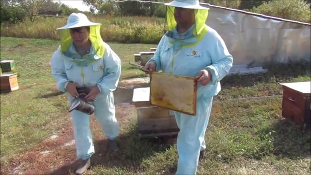 Бабье лето - время последних предзимних работ и приготовлений пчелосемей к зимовке. смотреть онлайн