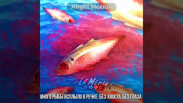 Красная плесень. Про животных. смотреть онлайн
