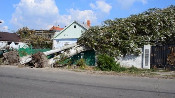 What Is a Tornado? | How do tornados form? Tornados for kids
