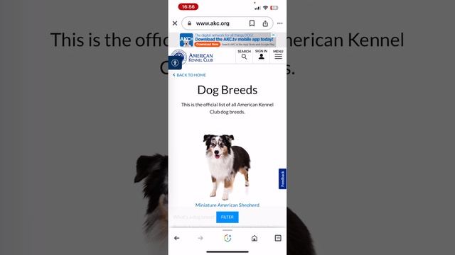 How to add a link to the story on Instagram? смотреть онлайн