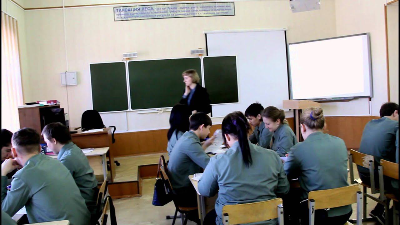 лесная таксация смотреть онлайн