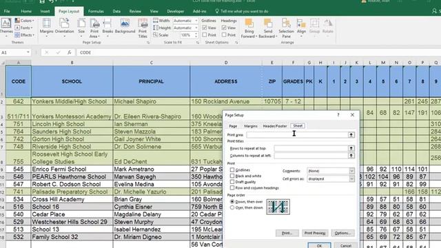 Excel - format printout and smart tags смотреть онлайн