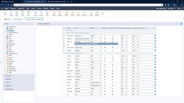 Scriptcase - Working with badges смотреть онлайн