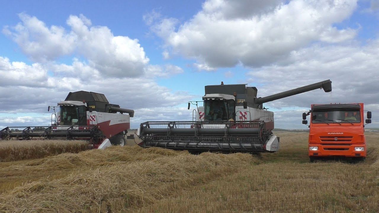 2 новых CLAAS TUCANO 450 в полях Чувашии на уборке пшеницы смотреть онлайн