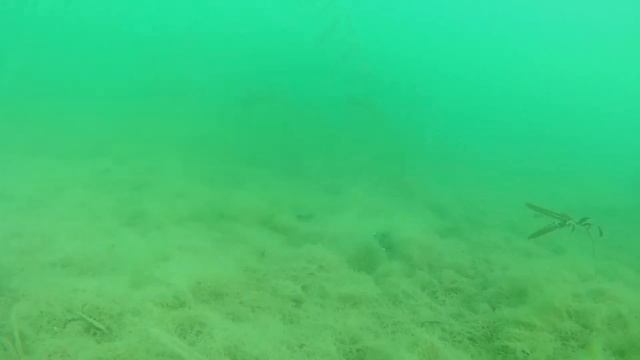 ПОДВОДНАЯ съемка на белорусских Мальдивах. смотреть онлайн