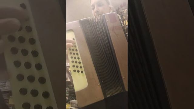 гармонь Чайка Теза СССР смотреть онлайн