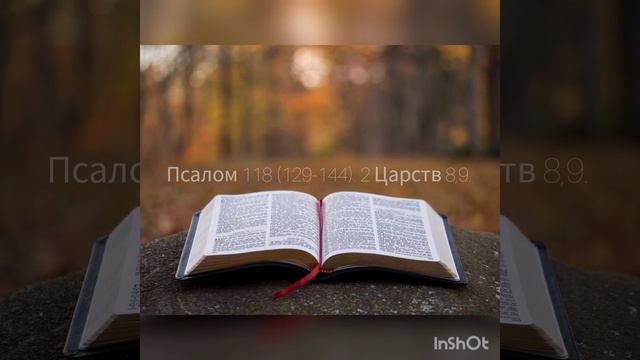 Псалом 118 (129-144). 2 Царств 8,9. смотреть онлайн
