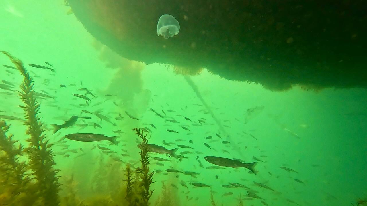 Балаклаву НЕ УЗНАТЬ! Снесли ДОМ ПЛЯСА! Аварийный спуск на ЛУЧШИЕ ПЛЯЖИ! КРЫМ сегодня 2024 смотреть онлайн