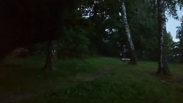 Лес в Купавне у озера Бисерово будет спасен! Часть 2. Лес начали приводить в порядок! смотреть онлайн