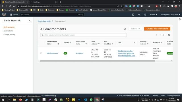 AWS Elastic Beanstalk | Deploy WordPress website with an external Amazon RDS database смотреть онлайн
