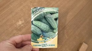 Огурцы на гидропонике. Опыт выращивания на балконе. Сезон 2021