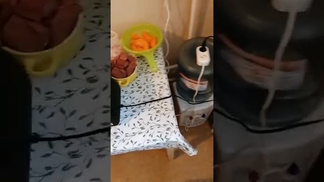 Приготовление корма для рыб. смотреть онлайн