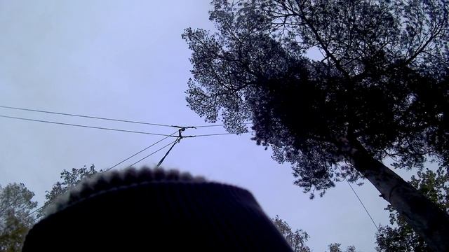 test-video-1 смотреть онлайн