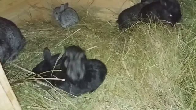 ЗАГАДКА #6 смотреть онлайн