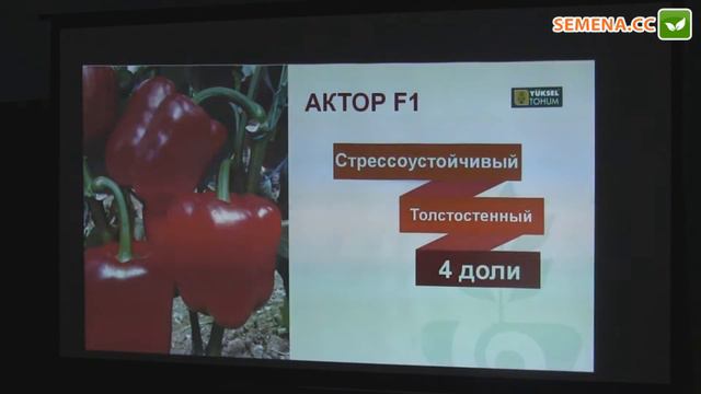 Актор F1 перець (Yuksel) семінар 29.11.2016 смотреть онлайн