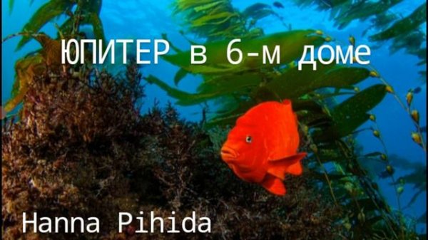 ЮПИТЕР в 6-м доме.Hanna Pihida