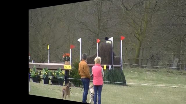 Dolan T - Belton Novice Cross Country 17.04.15 смотреть онлайн