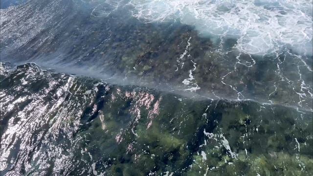 Египет, Январь 2024. JAZ Mirabel Beach, Шарм-эль-шейх