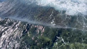 Египет, Январь 2024. JAZ Mirabel beach, Шарм-эль-шейх