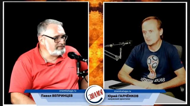 Юрий ГАЛЧЁНКОВ: о журавлях и не только [Дикий Кабан] смотреть онлайн