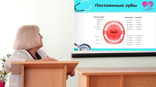 Прорезывание зубов у детей. Докладчик Горячева В.Н. смотреть онлайн