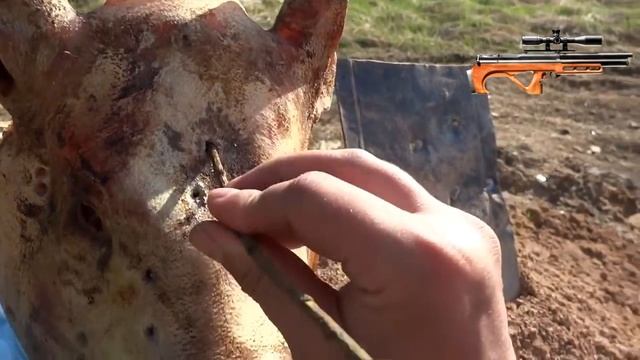 Пневматические винтовки для охоты 2021 смотреть онлайн