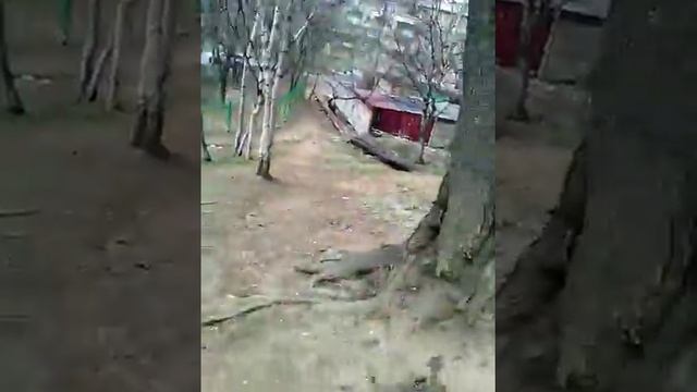 Как почистить телефон смотреть онлайн