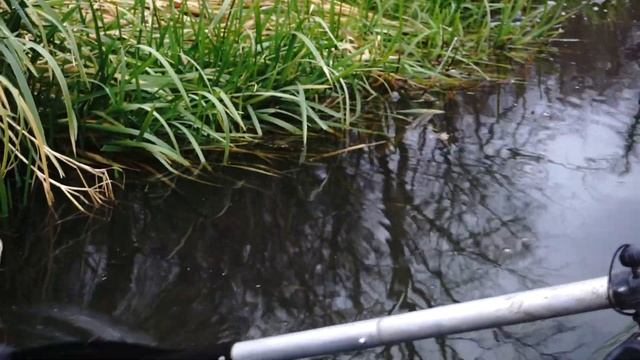 Рыбалка в окрестностях "Кленового" смотреть онлайн