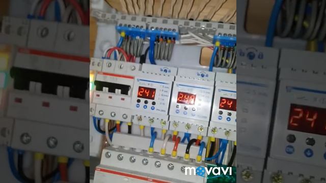 2 сентября 2019 г.