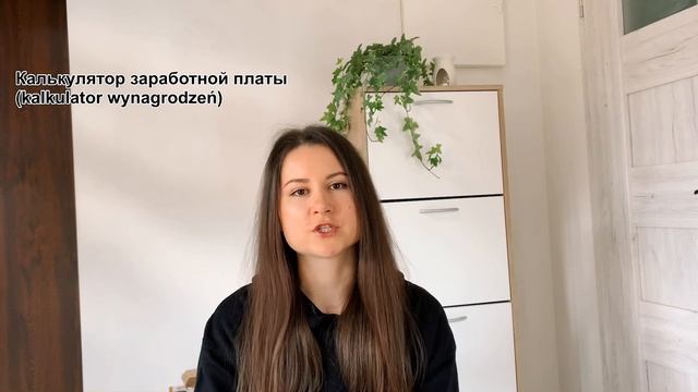 Зарплата брутто и нетто. Как посчитать зарплату в Польше 2022 смотреть онлайн