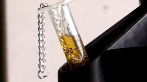 Заливаем осу в эпоксидку / Оса в эпоксидной смоле / Как залить насекомое в эпоксидку? / Рукоделие