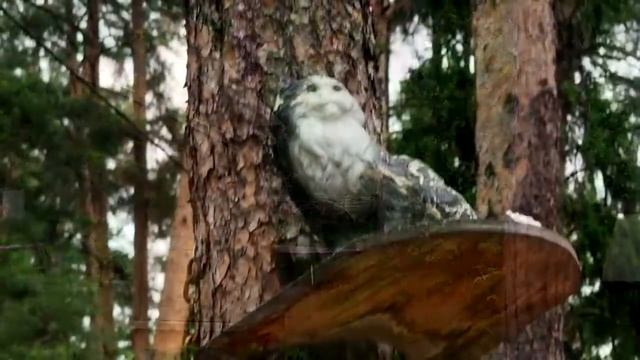 Санаторий Васильевский 2018 смотреть онлайн