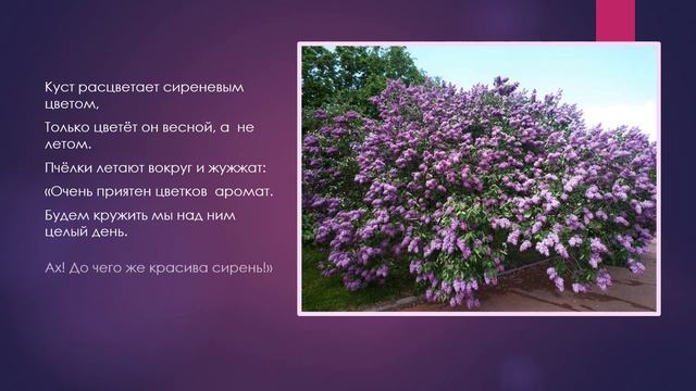 СКАЗКА О СИРЕНИ. ПОСЛЕДНЯЯ КРАСКА ВЕСНЫ смотреть онлайн