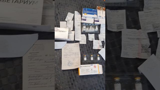 Ваша помощь - спасение животных. смотреть онлайн