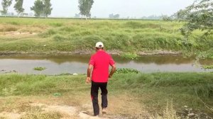 Удивительная охота на Летающих Птиц с помощью рогатки