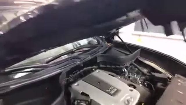 Защитная прозрачная пленка, оклейка капота и бампера на автомобиле Infiniti QX70 смотреть онлайн