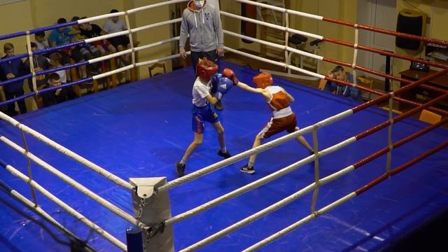 "Открытый ринг", турнир по боксу, г. Витебск. 26 декабря 2020 год смотреть онлайн